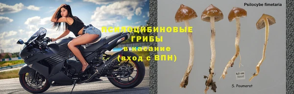 МДПВ Алексеевка